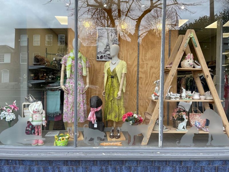 Dogs Trust Brentwood Charity Shop Dogs Trust